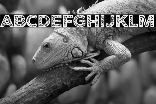 Cheetah Font examples