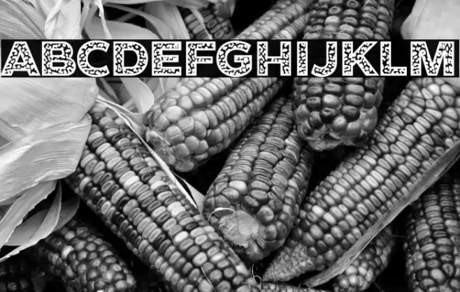 Cheetah Font examples