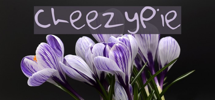 CheezyPie Font examples