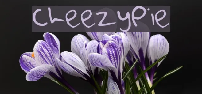 CheezyPie Example 2