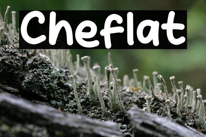Cheflat Example 2