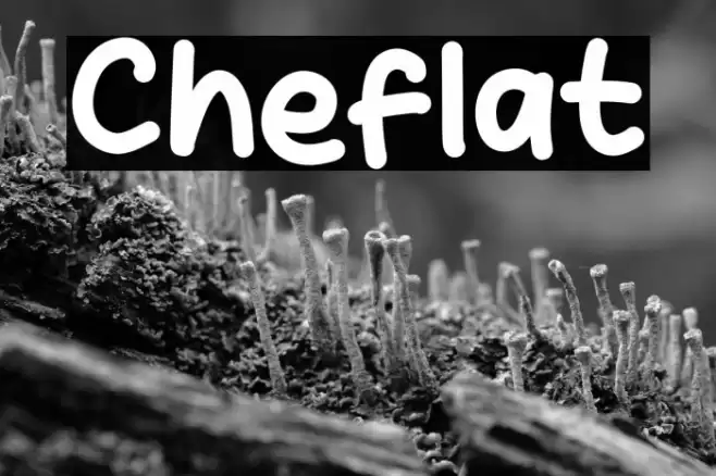 Cheflat Font examples