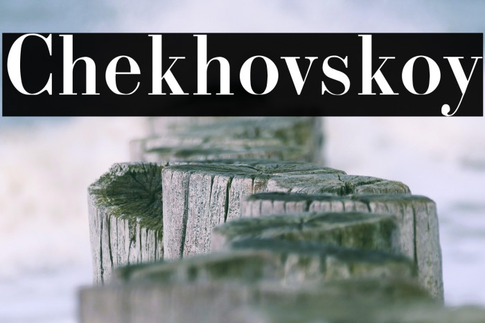 Chekhovskoy Example 1