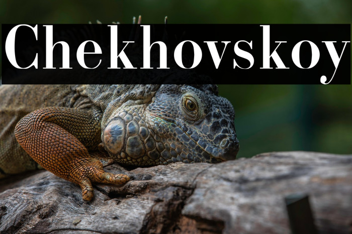 Chekhovskoy Example 2