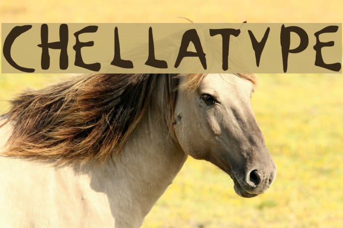 ChellaType Example 1