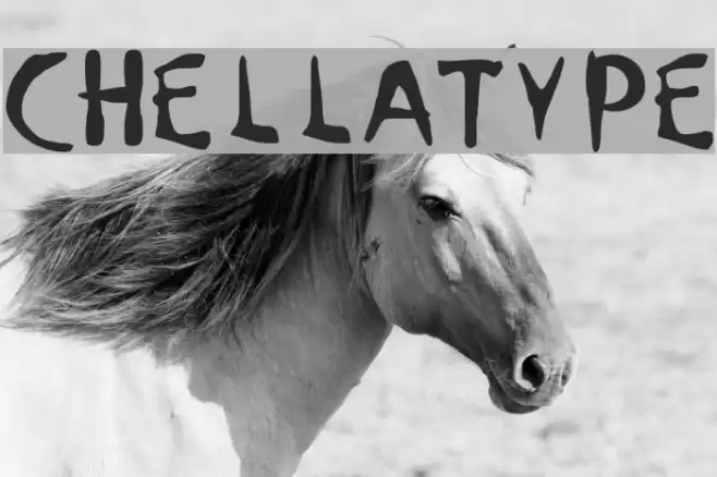 ChellaType Font examples