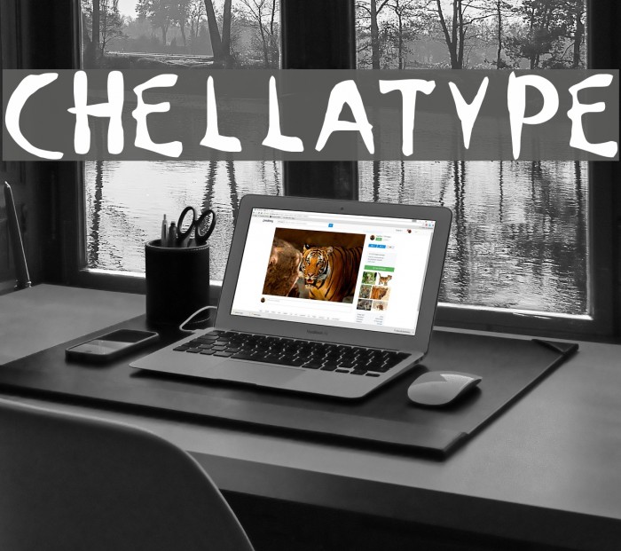 ChellaType Example 2