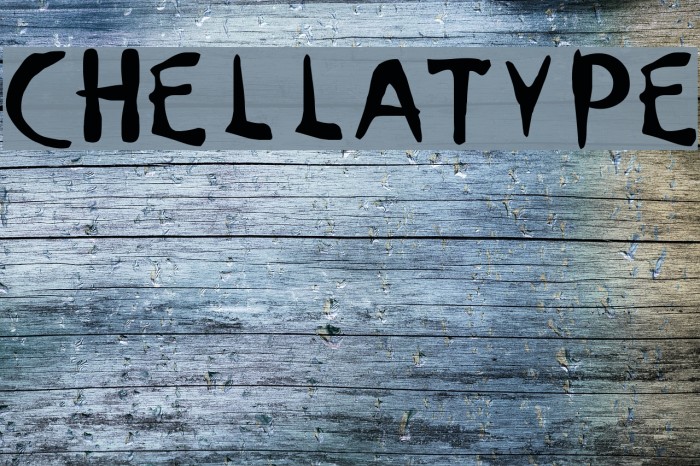 ChellaType Example 3