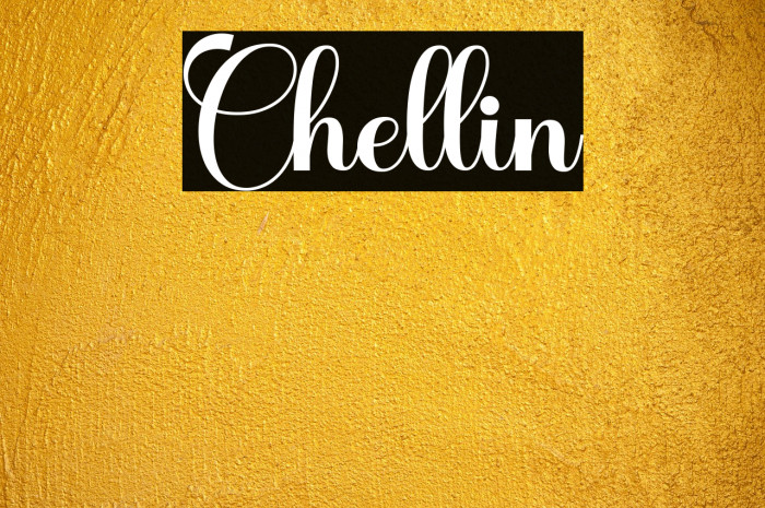 Chellin Example 3