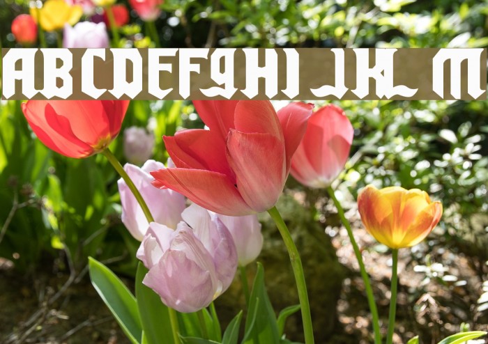 Chello Playah Font examples