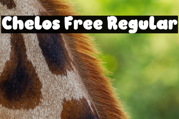 Chelos Free Regular Example 3