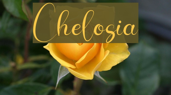 Chelosia Font examples