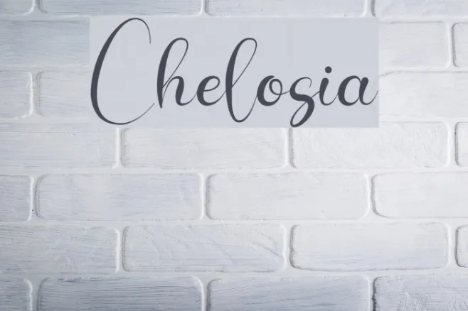 Chelosia Example 3