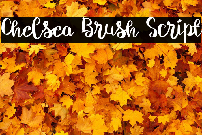 Chelsea Brush Script Font examples