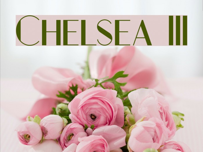 Chelsea III Example 1