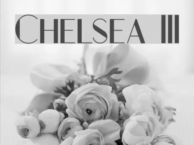 Chelsea III Font examples