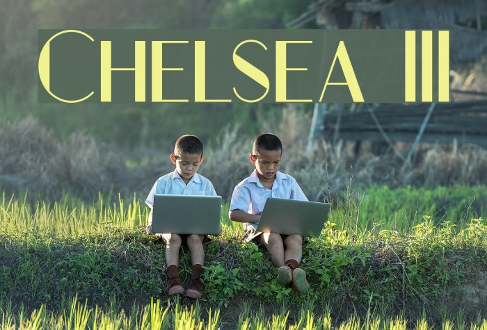 Chelsea III Example 3