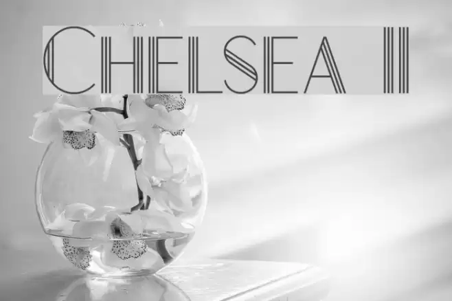 Chelsea II Fonte examples
