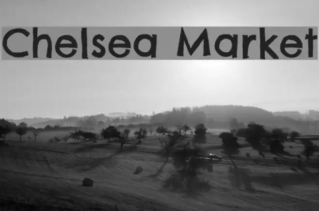 Chelsea Market Font examples