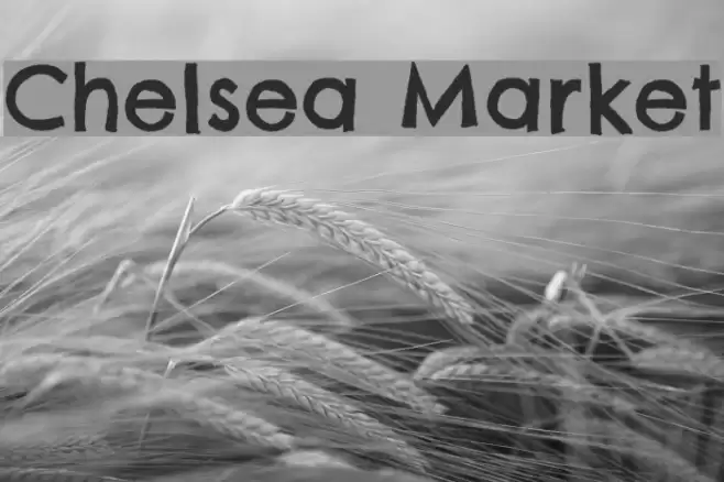 Chelsea Market Font examples