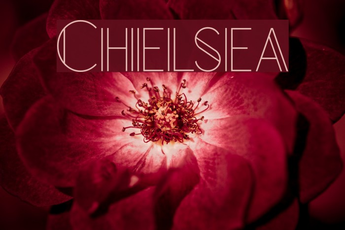 Chelsea Font examples