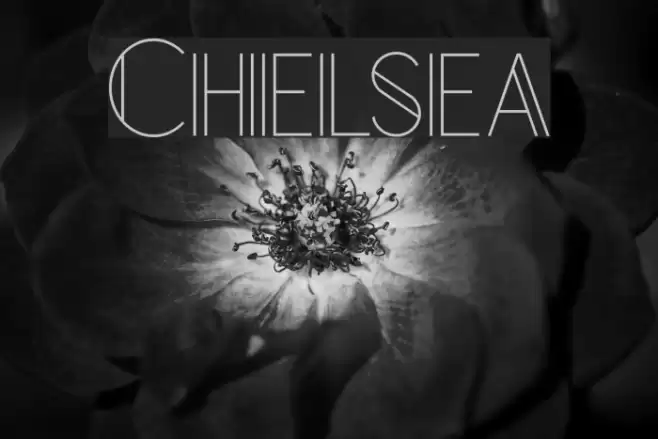 Chelsea Font examples