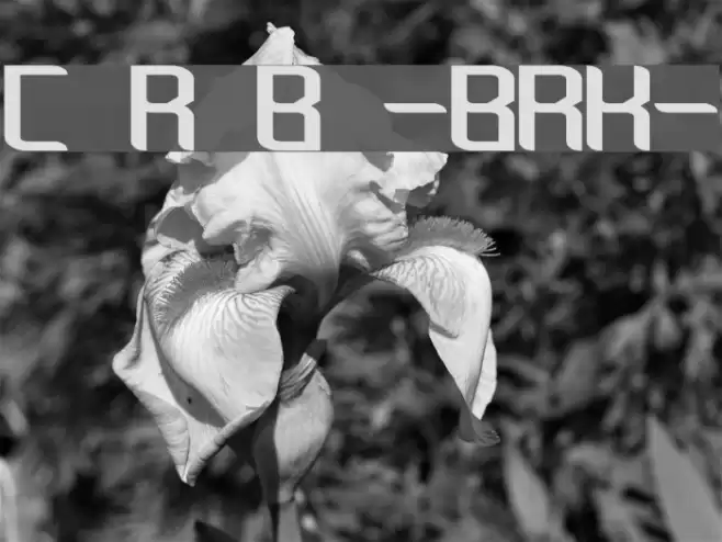 Chemical Reaction B -BRK- Schriftart examples