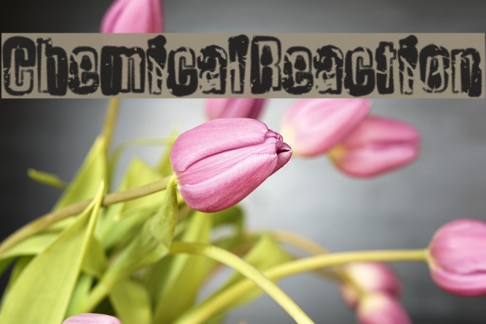 ChemicalReaction Example 2