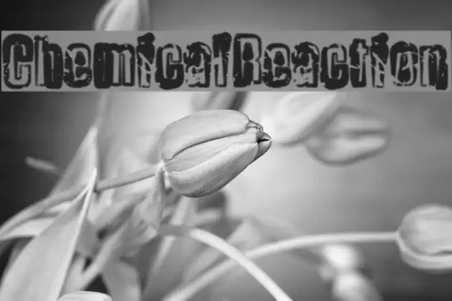 ChemicalReaction Font examples