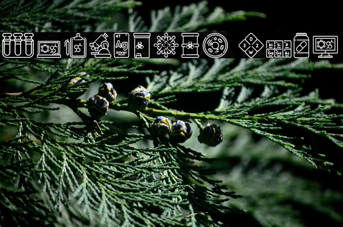 Chemistry Icon Example 3