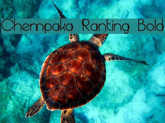 Chempaka Ranting Bold Fonte examples