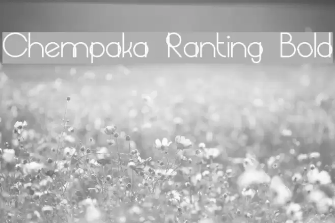 Chempaka Ranting Bold Font examples
