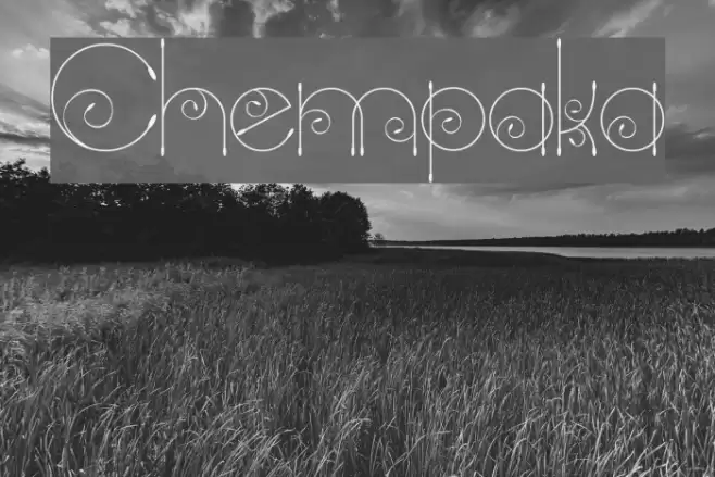 Chempaka Font examples