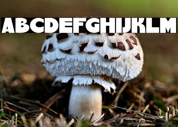 ChemyRetro Example 2