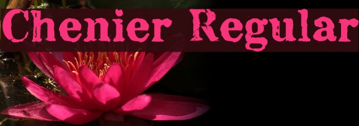Chenier Regular Font examples