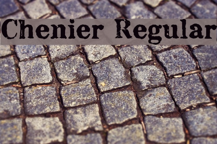 Chenier Regular Font examples