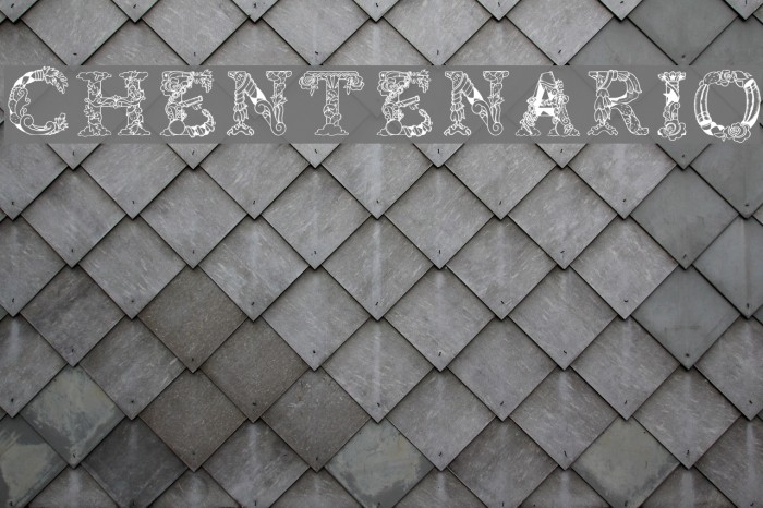 Chentenario Font examples
