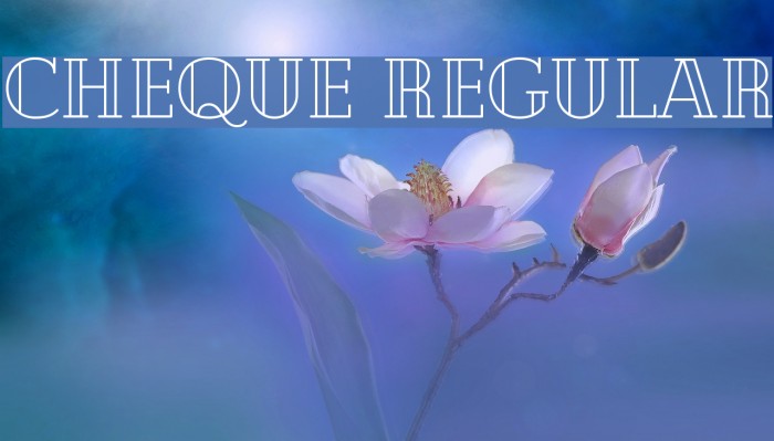 Cheque Regular Font examples