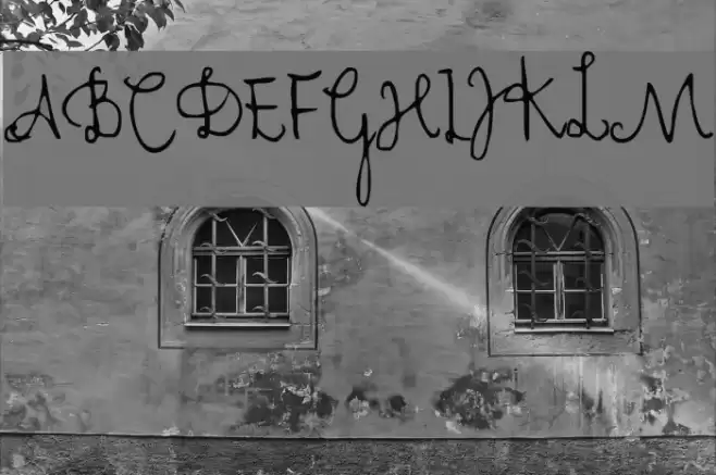 Cher Font Font examples