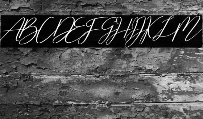 Cherella Bold Font examples