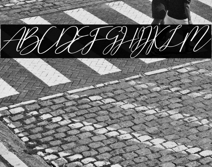 Cherella Bold Example 3