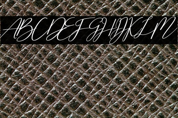 Cherella Bold Example 2