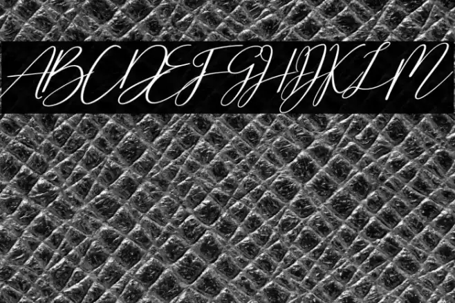 Cherella Bold Font examples