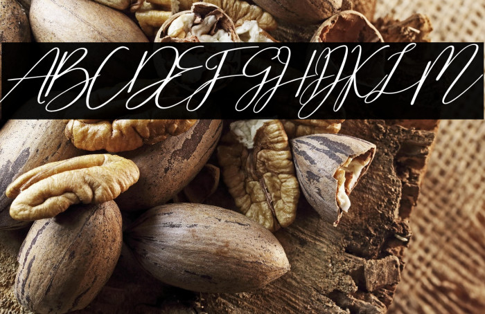 Cherella Bold Example 3