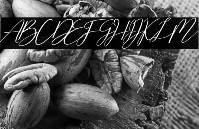 Cherella Bold Font examples