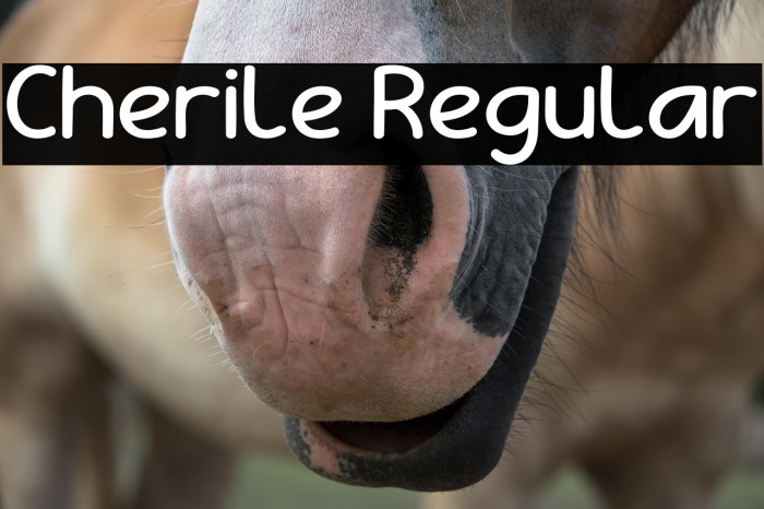 Cherile Regular Example 1