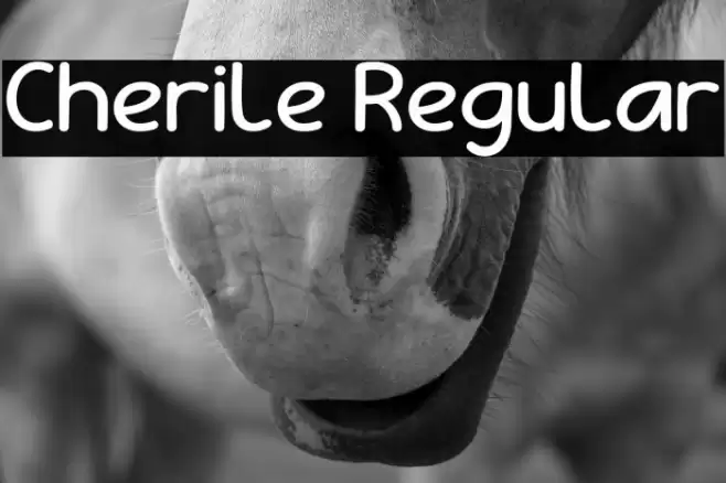 Cherile Regular Caratteri examples