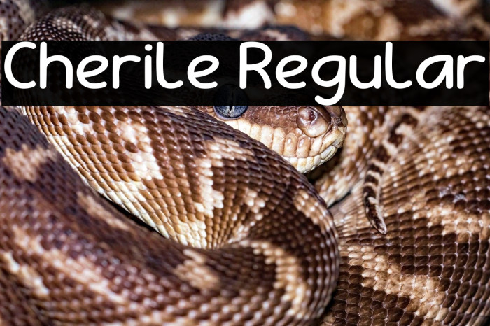 Cherile Regular Example 2