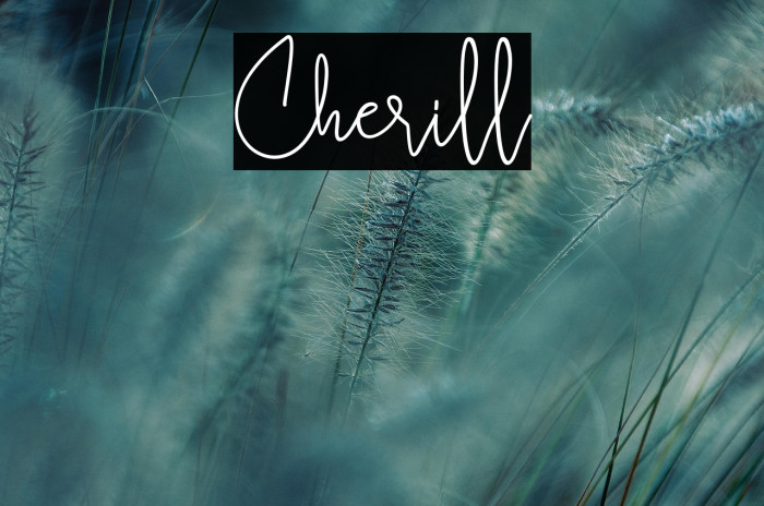 Cherill Example 3
