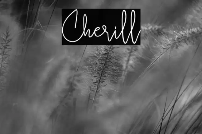 Cherill Font examples